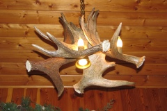 Moose Antler Chandelier with Down Light