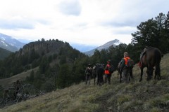 High Country Hunting